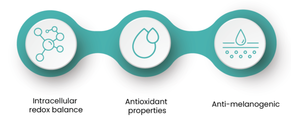 glutathione epigenetic Glutathione synthesis primes monocytes metabolic and epigenetic pathway for  -glucan-trained immunity