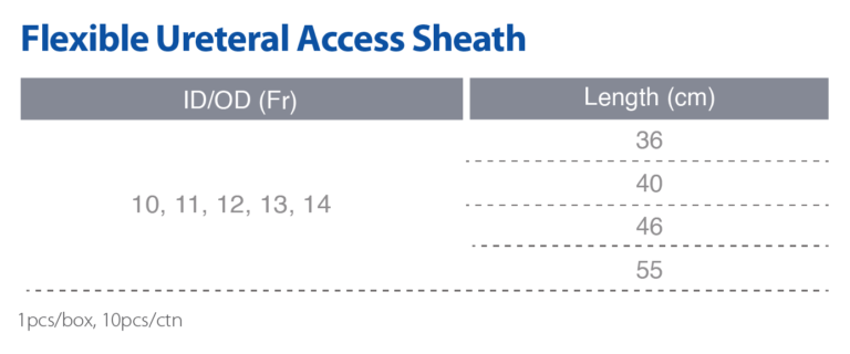 Specification of Ureteral Access Sheath