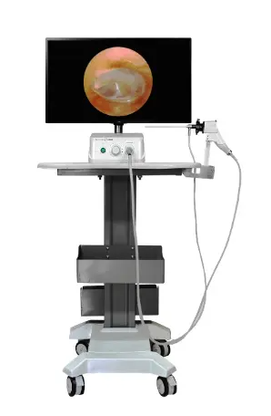 video endoscopy