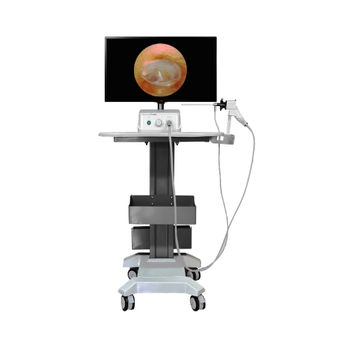 video endoscopy