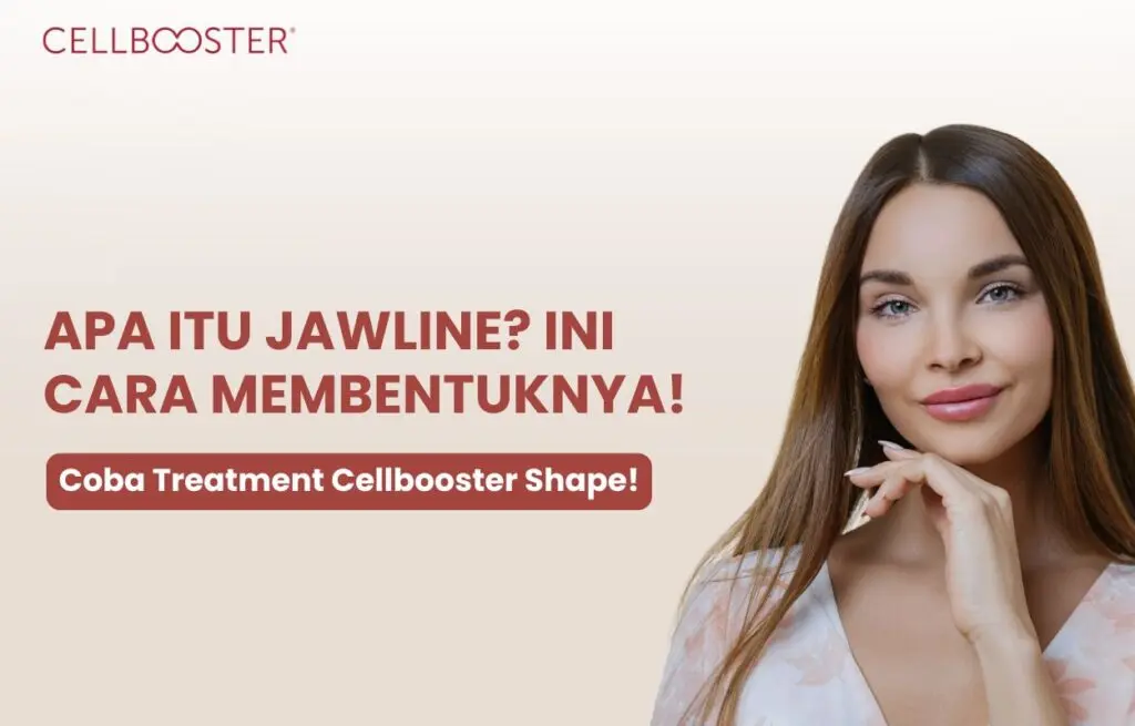jawline artinya