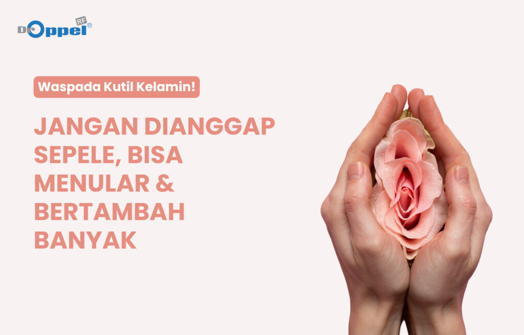 kutil kelamin HPV