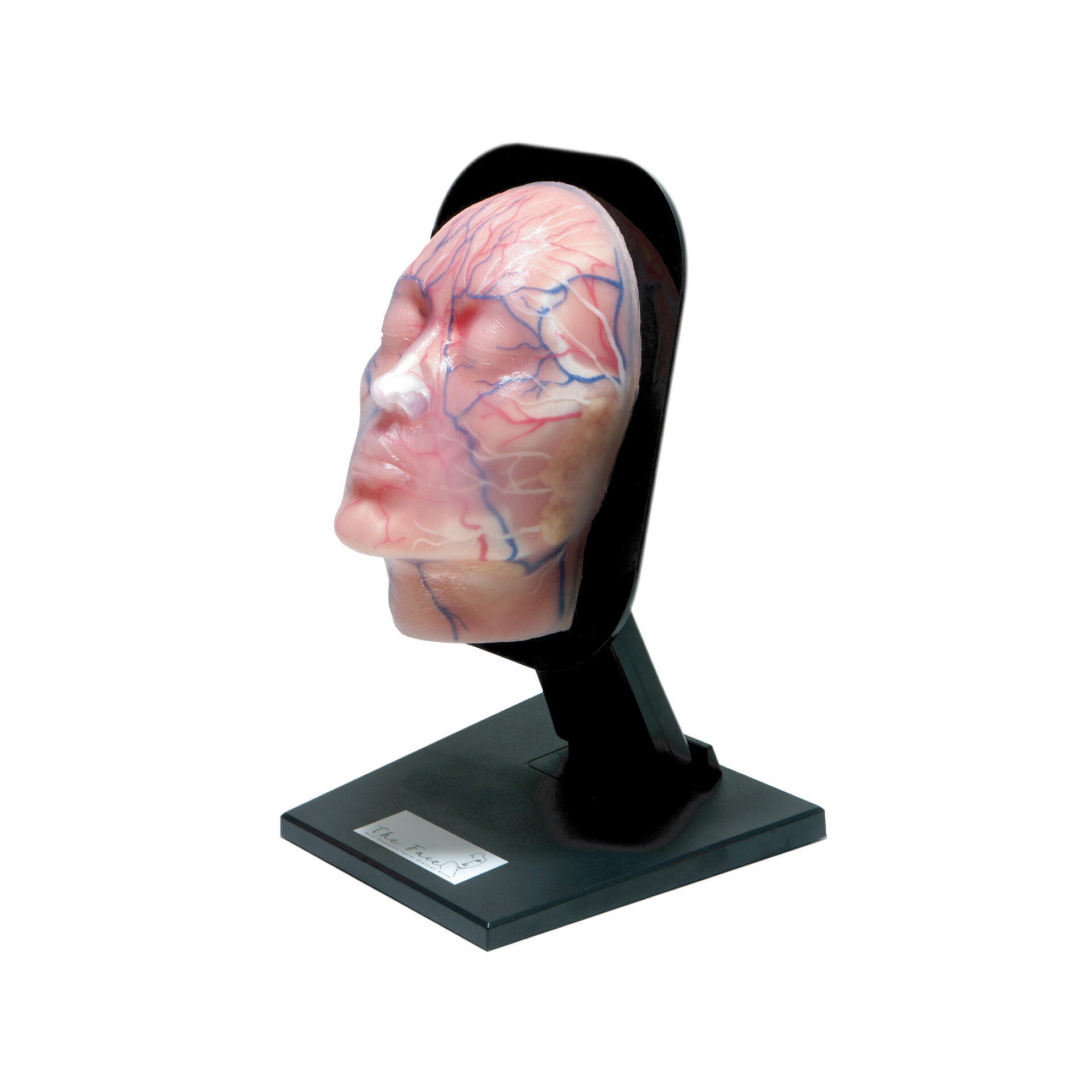 The Face V2