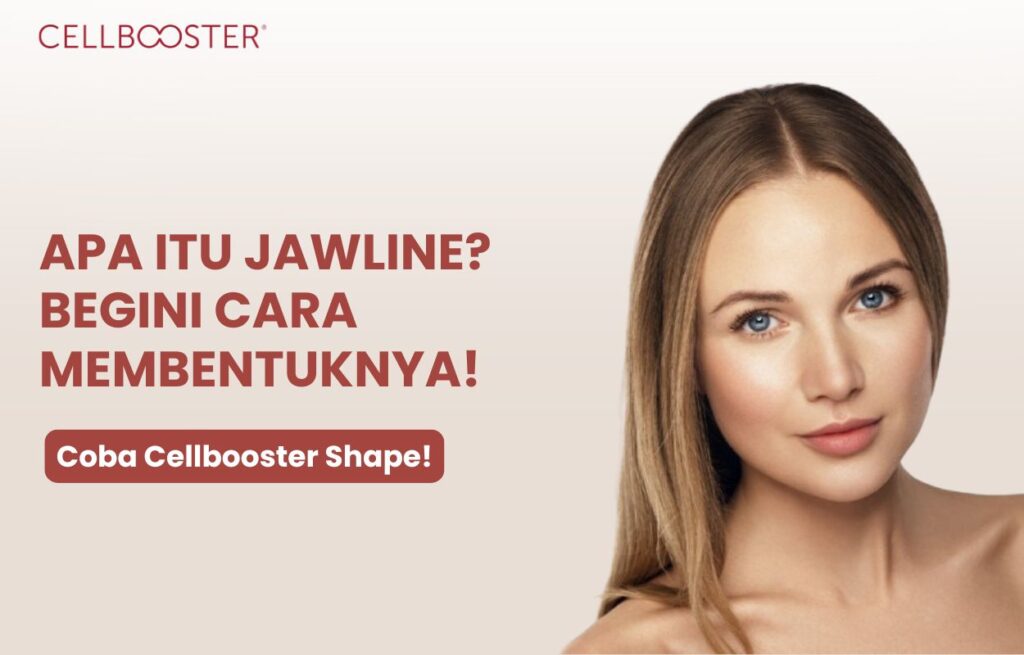 apa itu jawline