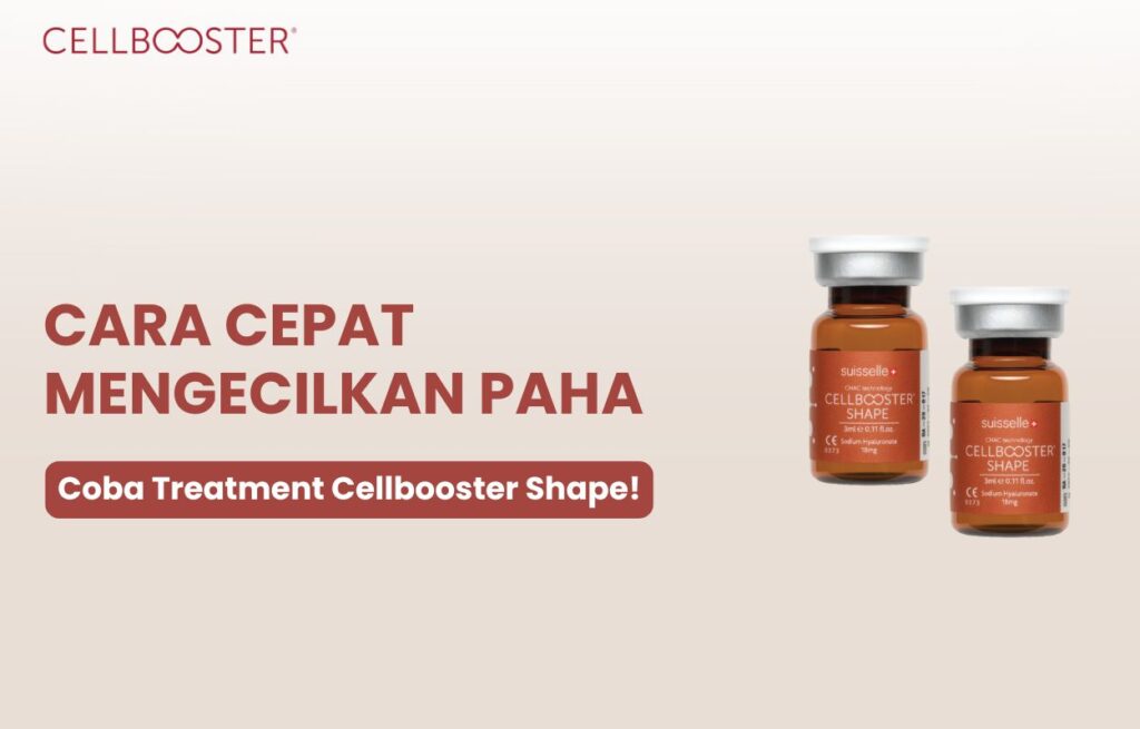 mengecilkan paha