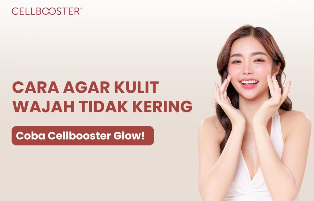 cara agar kulit wajah tidak kering